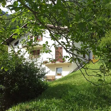 Zadraga Tolmin